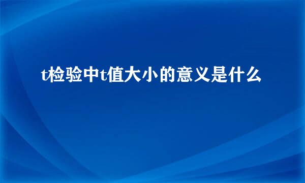 t检验中t值大小的意义是什么