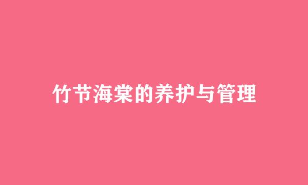 竹节海棠的养护与管理