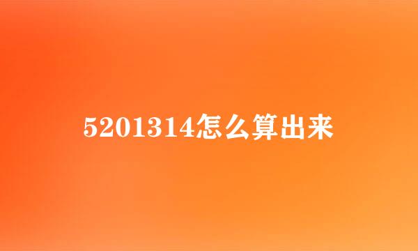 5201314怎么算出来