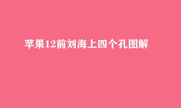 苹果12前刘海上四个孔图解
