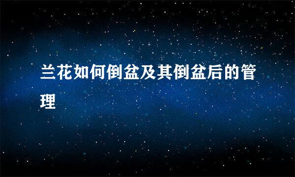 兰花如何倒盆及其倒盆后的管理