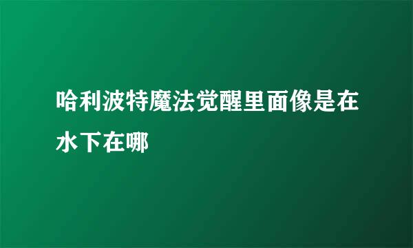 哈利波特魔法觉醒里面像是在水下在哪