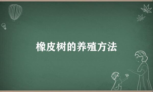 橡皮树的养殖方法