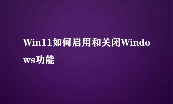 Win11如何启用和关闭Windows功能