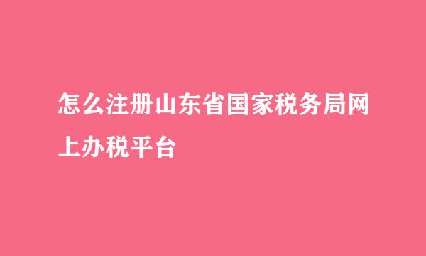 怎么注册山东省国家税务局网上办税平台