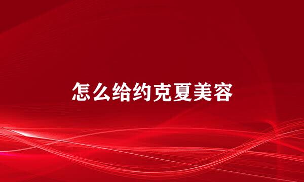怎么给约克夏美容