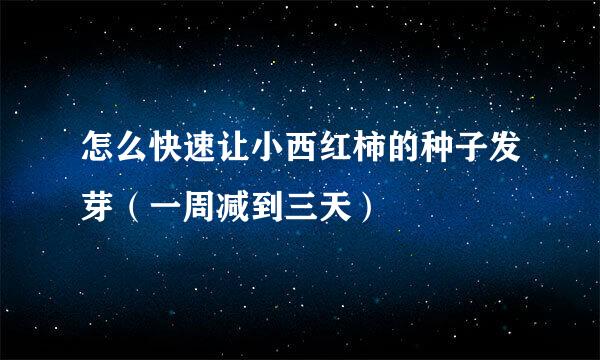 怎么快速让小西红柿的种子发芽（一周减到三天）