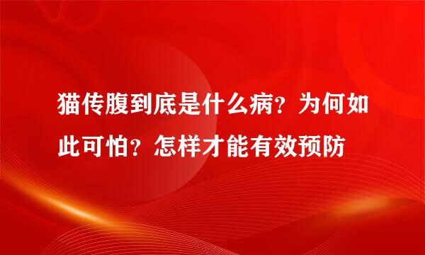 猫传腹到底是什么病？为何如此可怕？怎样才能有效预防