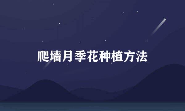 爬墙月季花种植方法