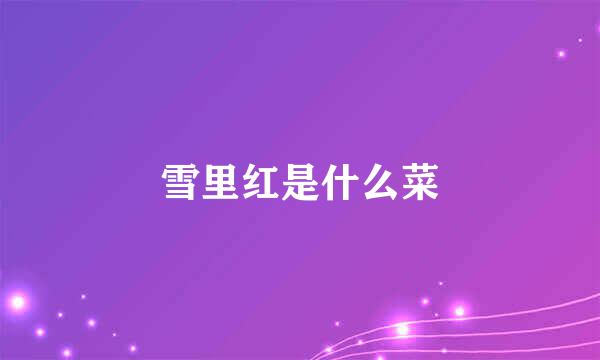雪里红是什么菜