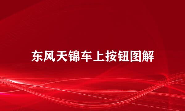 东风天锦车上按钮图解