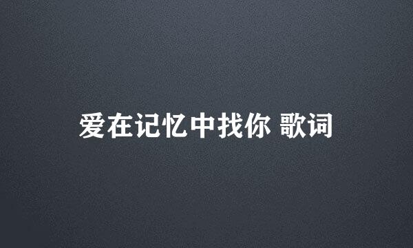 爱在记忆中找你 歌词
