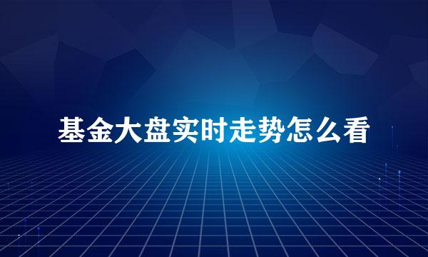 基金大盘实时走势怎么看