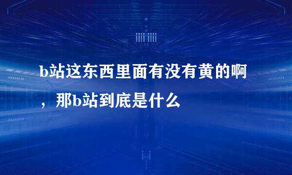 b站这东西里面有没有黄的啊，那b站到底是什么