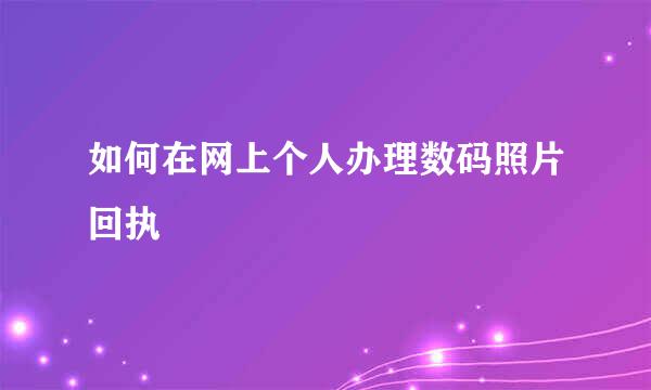 如何在网上个人办理数码照片回执