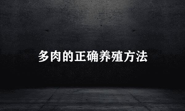 多肉的正确养殖方法