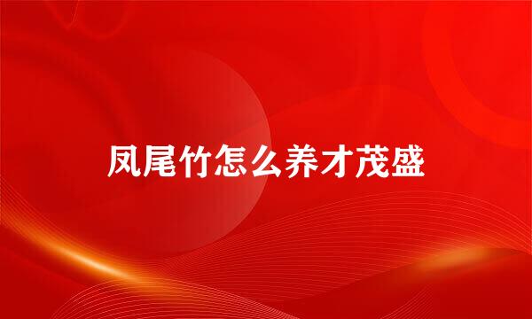 凤尾竹怎么养才茂盛