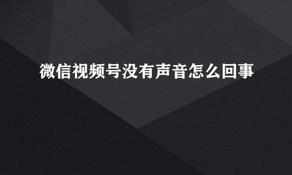 微信视频号没有声音怎么回事