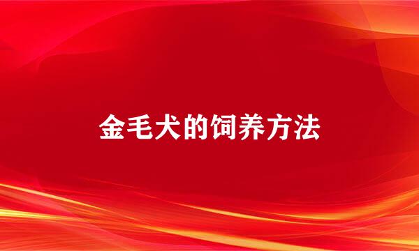 金毛犬的饲养方法