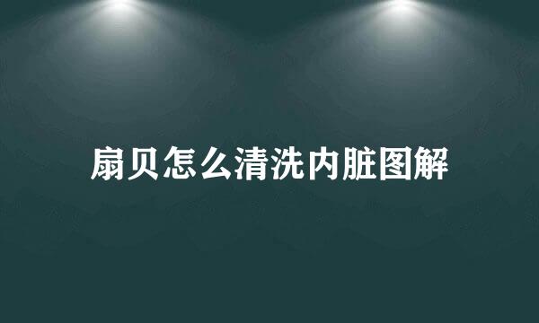 扇贝怎么清洗内脏图解