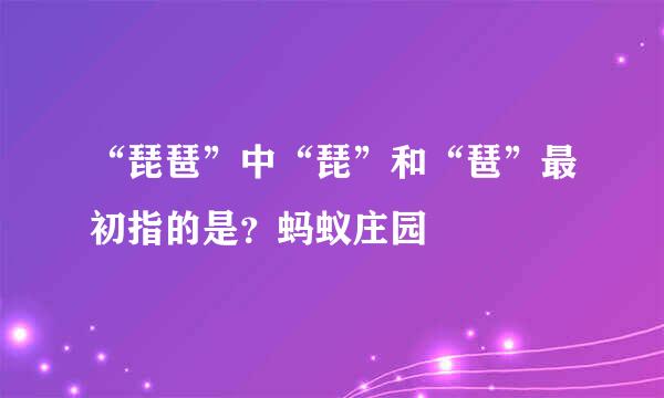 “琵琶”中“琵”和“琶”最初指的是？蚂蚁庄园