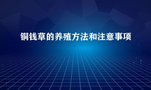 铜钱草的养殖方法和注意事项