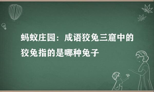 蚂蚁庄园：成语狡兔三窟中的狡兔指的是哪种兔子