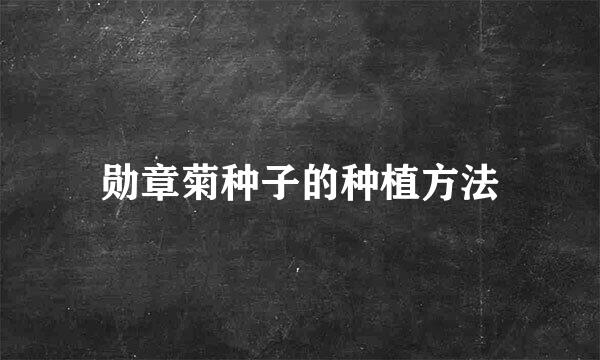 勋章菊种子的种植方法