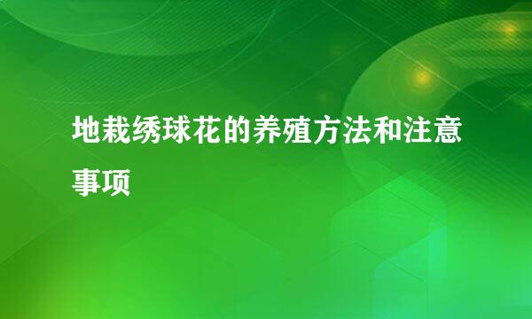 地栽绣球花的养殖方法和注意事项