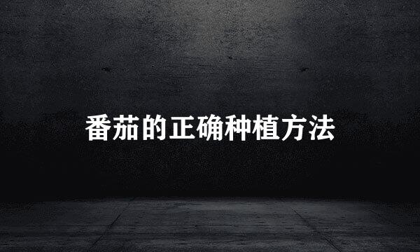 番茄的正确种植方法