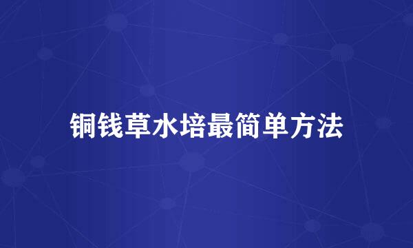 铜钱草水培最简单方法