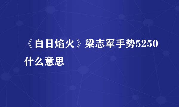 《白日焰火》梁志军手势5250什么意思