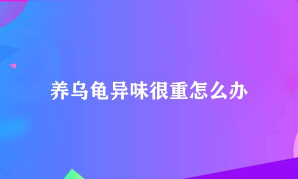 养乌龟异味很重怎么办