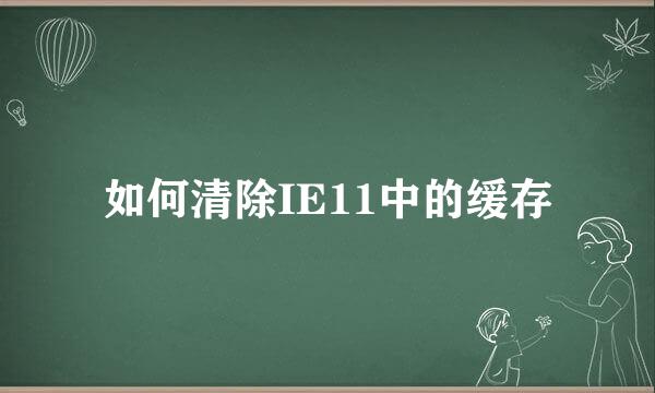 如何清除IE11中的缓存