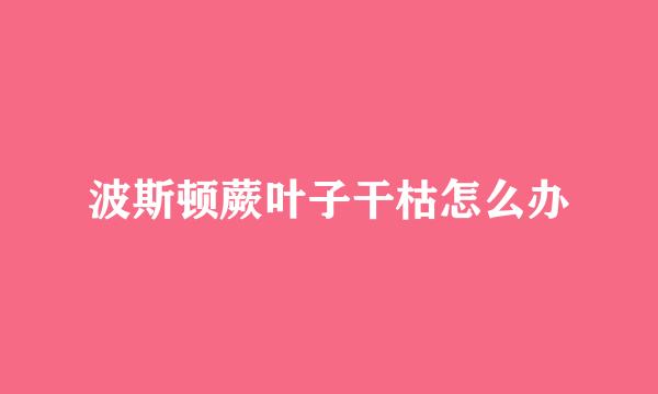 波斯顿蕨叶子干枯怎么办