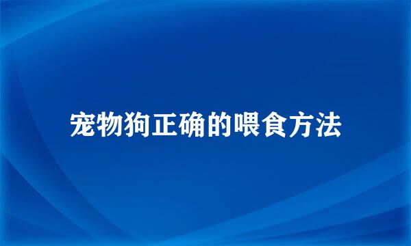 宠物狗正确的喂食方法