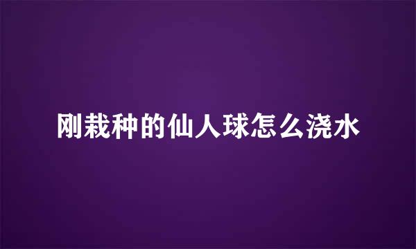 刚栽种的仙人球怎么浇水
