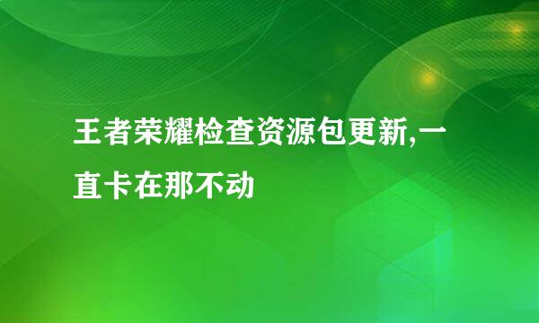 王者荣耀检查资源包更新,一直卡在那不动