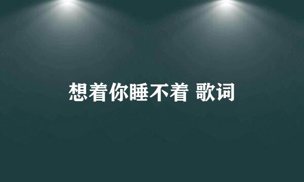 想着你睡不着 歌词