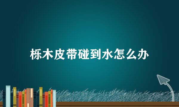 栎木皮带碰到水怎么办