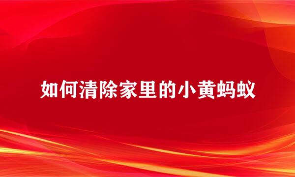 如何清除家里的小黄蚂蚁