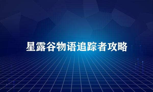 星露谷物语追踪者攻略