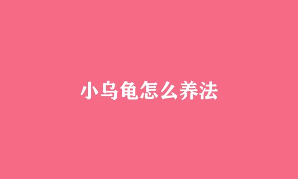 小乌龟怎么养法