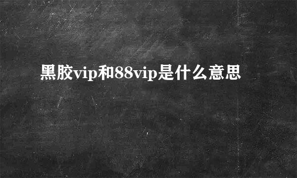 黑胶vip和88vip是什么意思