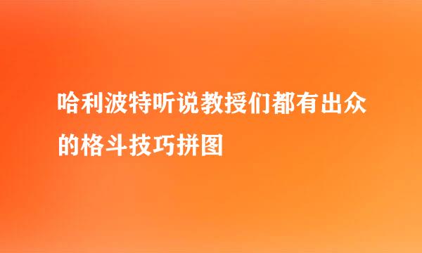 哈利波特听说教授们都有出众的格斗技巧拼图