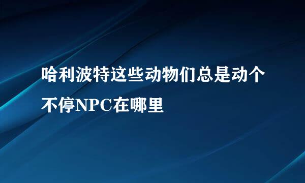 哈利波特这些动物们总是动个不停NPC在哪里