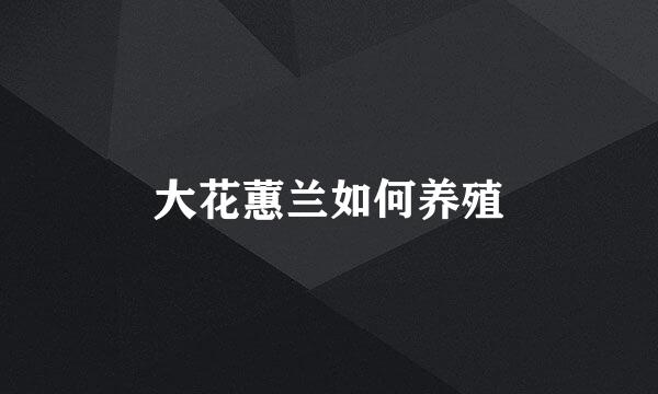 大花蕙兰如何养殖