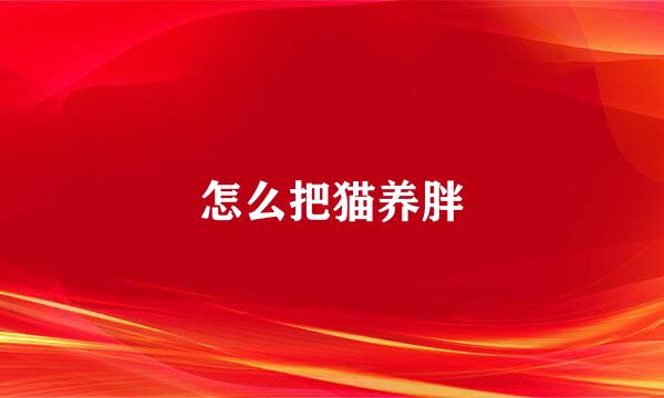 怎么把猫养胖