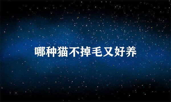 哪种猫不掉毛又好养
