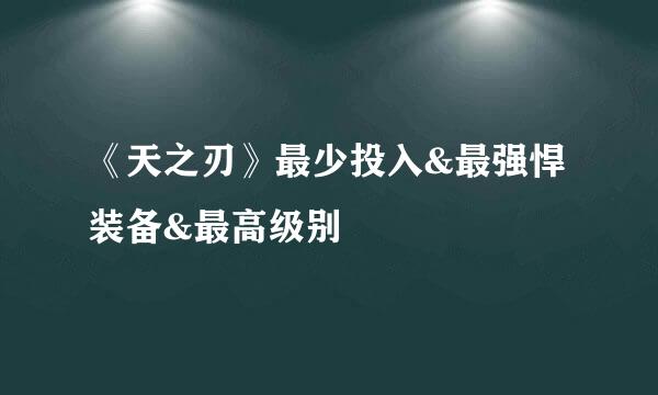 《天之刃》最少投入&最强悍装备&最高级别